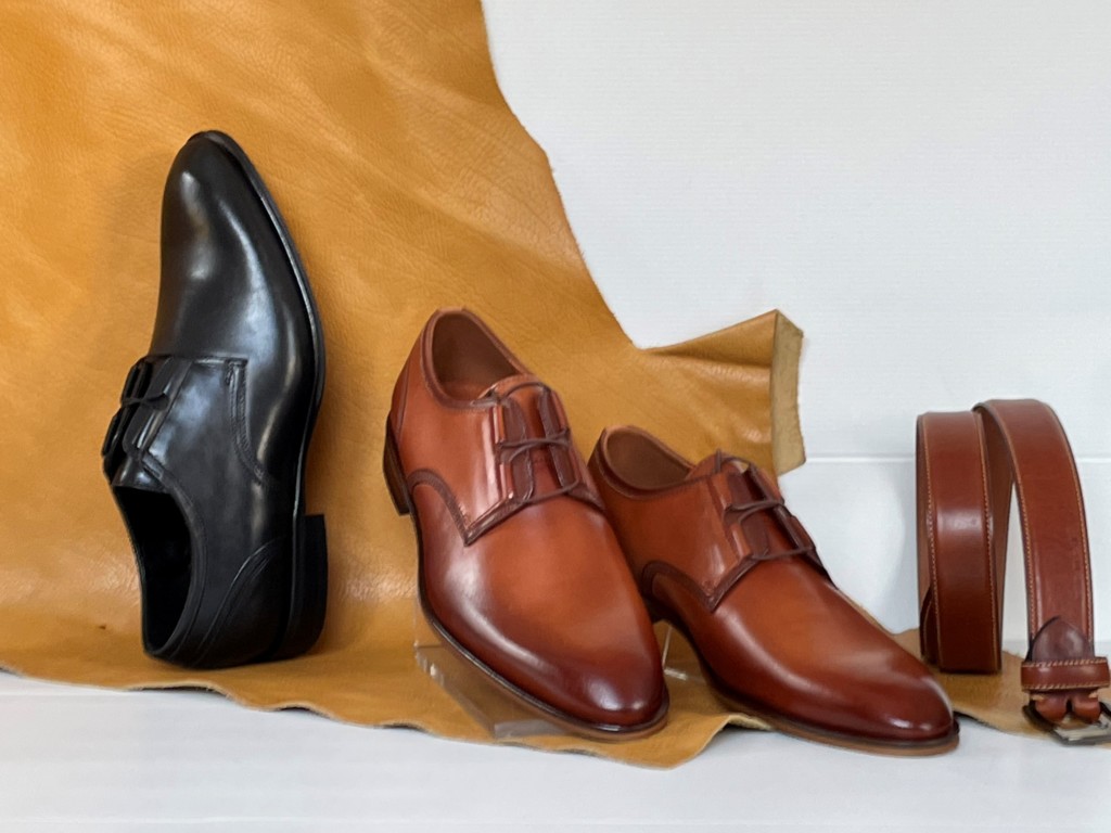 Alpina chaussures - chaussures homme