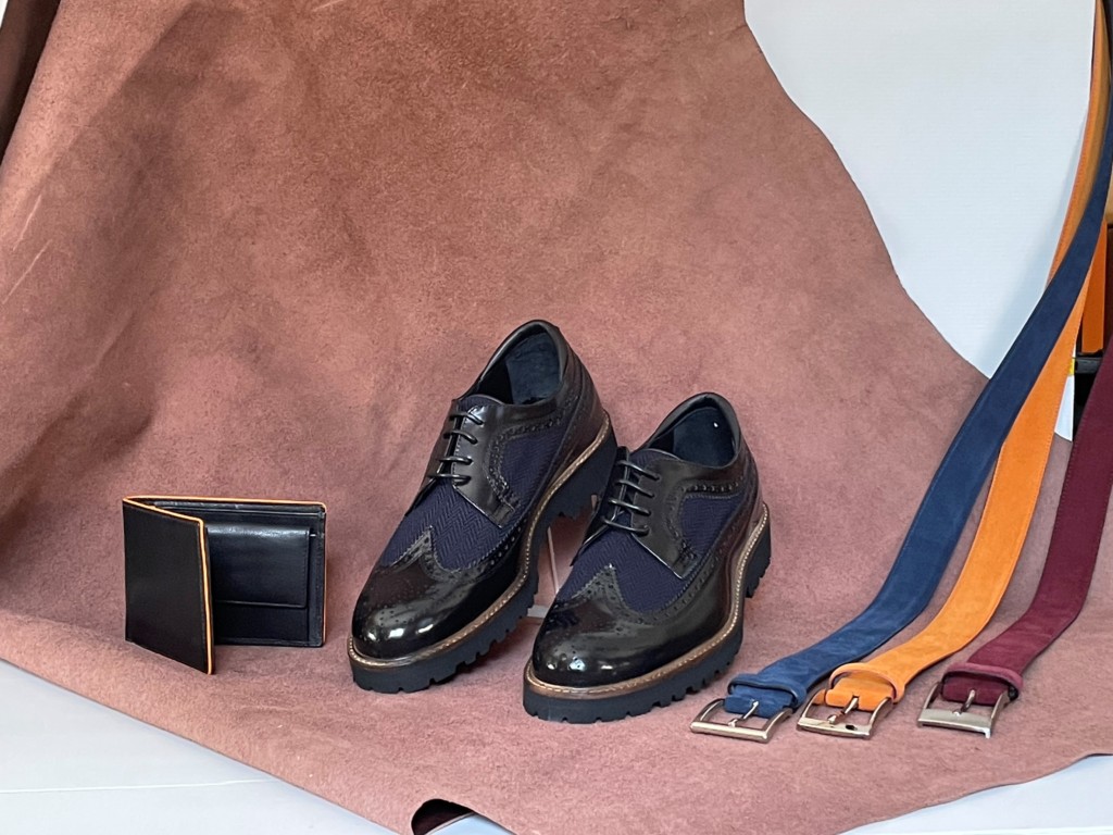 Alpina chaussures - chaussures homme