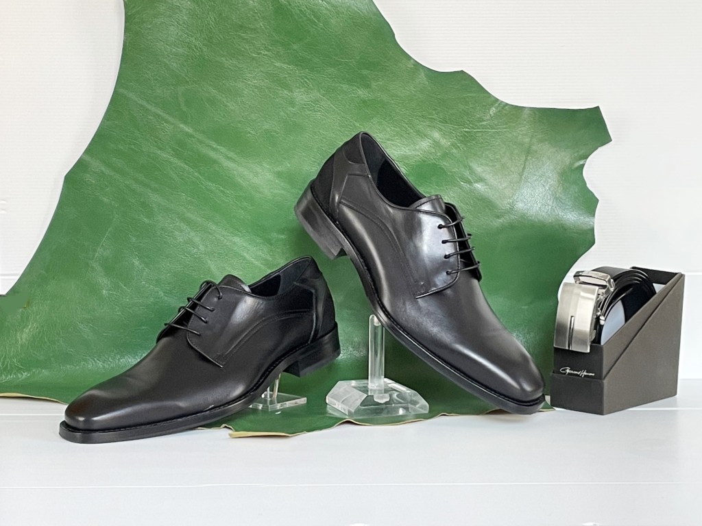 Alpina chaussures - chaussures homme