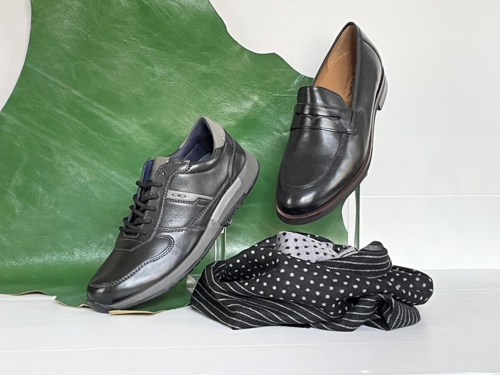 Alpina chaussures - chaussures homme