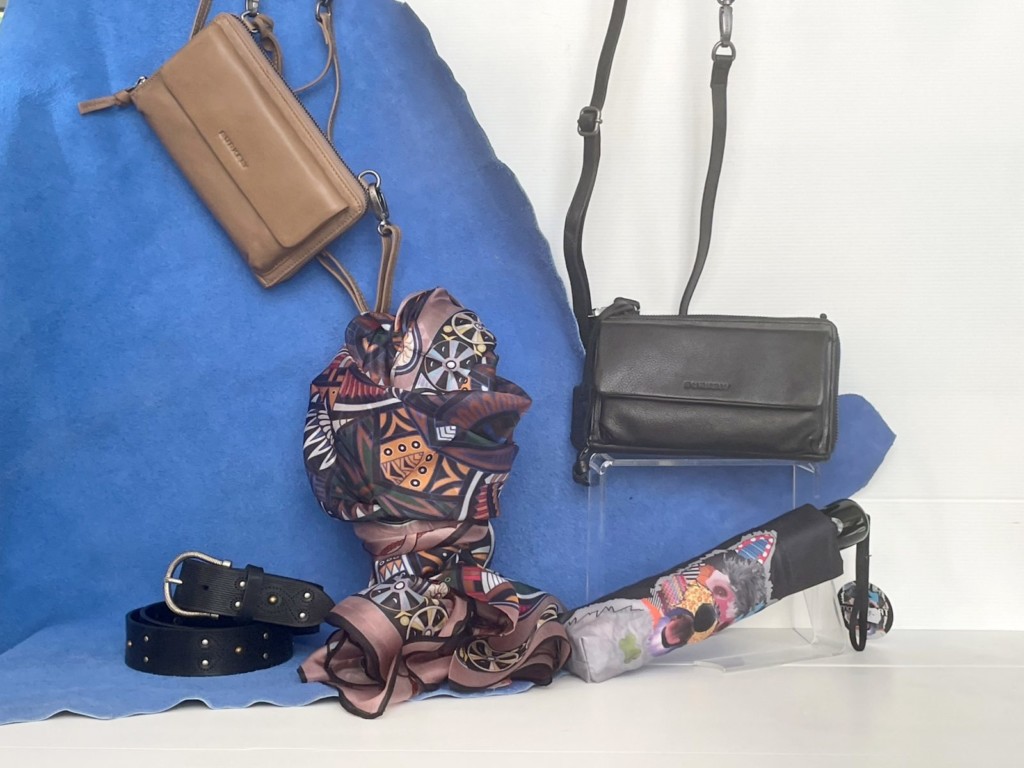 alpinachaussures.ch - maroquinerie et bagages