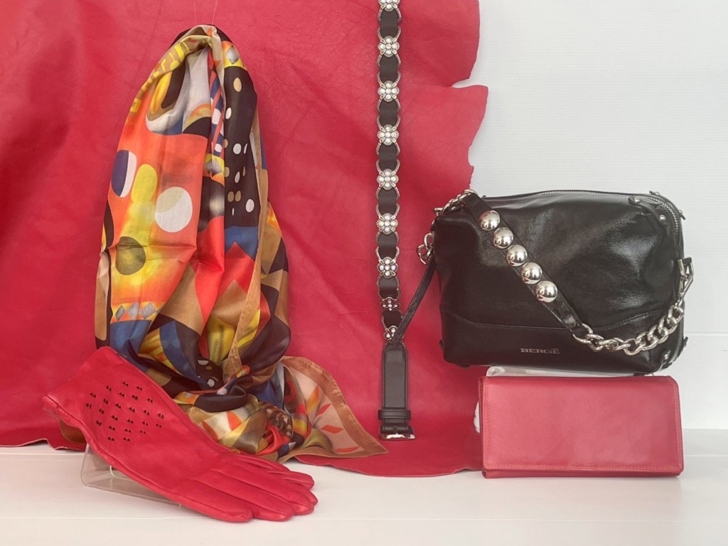 alpinachaussures.ch - maroquinerie et bagages