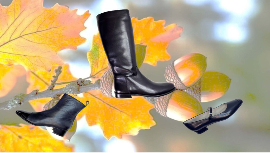 page 19 vierge 05.11.25