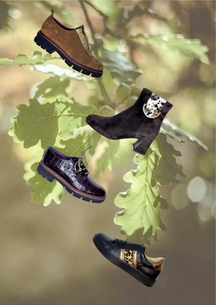 page 21 vierge 05.11.25