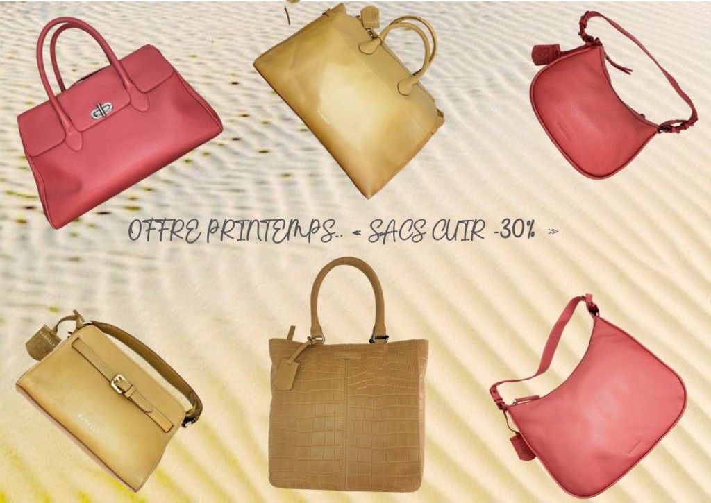 bloc sacs dame n° 2 1
