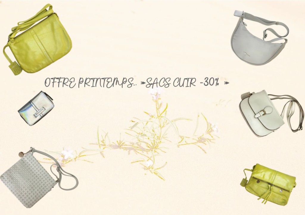 bloc sacs dame n° 4 1